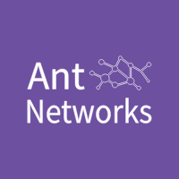 Ant Networks Limited Logo
